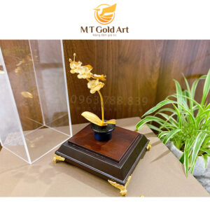Chậu Lan Hồ Điệp 1 cành dát vàng (có đế và mika)